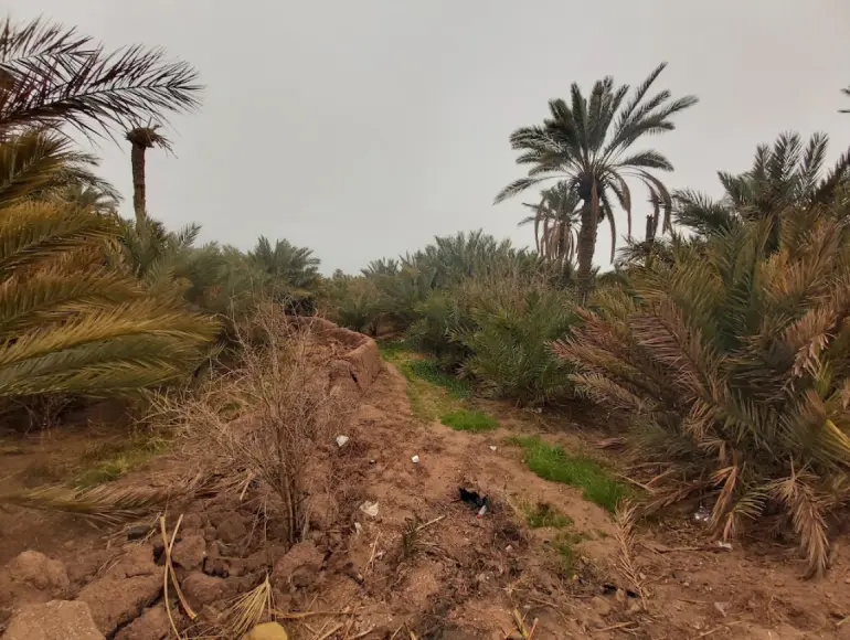 روستای گرمه اصفهان؛ کویری سبز و اعجاب‌انگیز