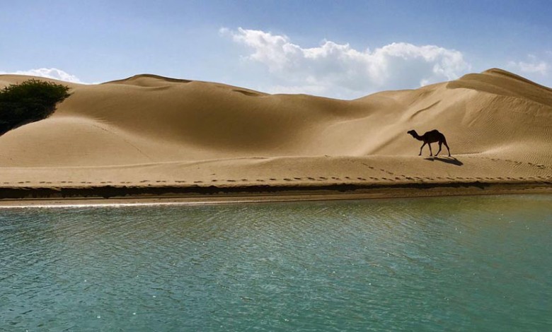 ۱۰ تا از سواحل چابهار از صخره ای تا ماسه ای و مرجانی