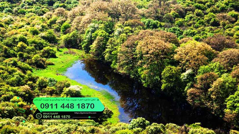 ۶۵ تا از جاهای دیدنی بوشهر در بهار، تابستان، پاییز، زمستان