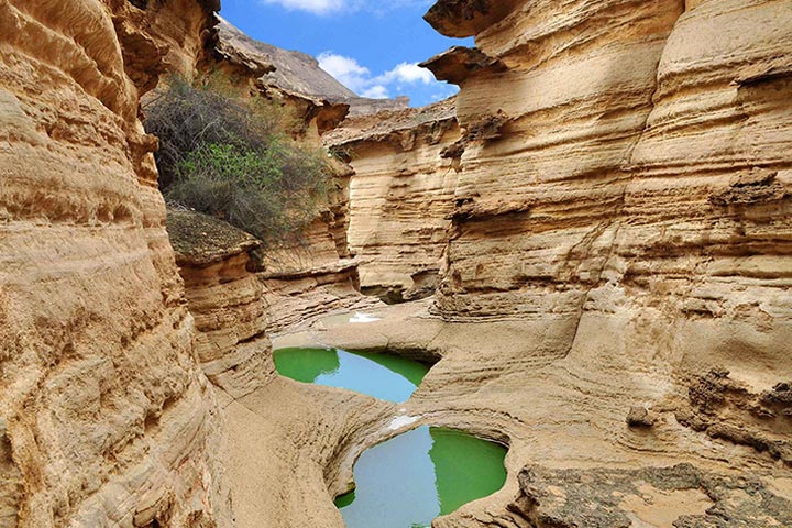 جاهای دیدنی قشم