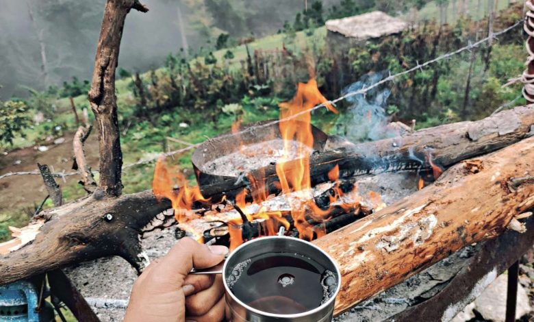 بهترین رستوران های آمل | رستوران‌گردی در بهشت سه هزار ساله مازندران