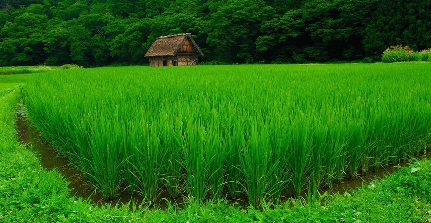 جاهای دیدنی بهشهر | جاذبه‌های شرق مازندران