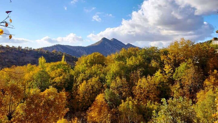 حیدرآباد؛ روستایی در دل زیبایی‌های طبیعت ایلام+ فیلم