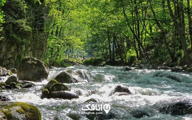 دوهزار شهسوار کجاست؟ | بهشت جنگلی مازندران
