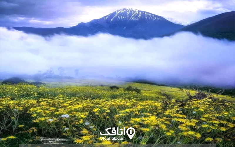 همه چیز درباره روستای فشکور | بوسه ابر بر دشت‌ها