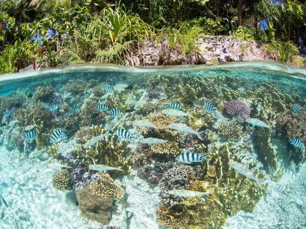 Bora Bora-Bora Bora-French Polynesia