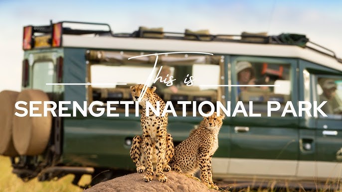 Serengeti National Park-Serengeti-Tanzania
