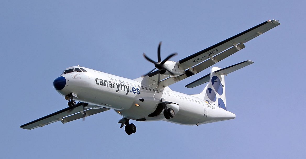 Canaryfly