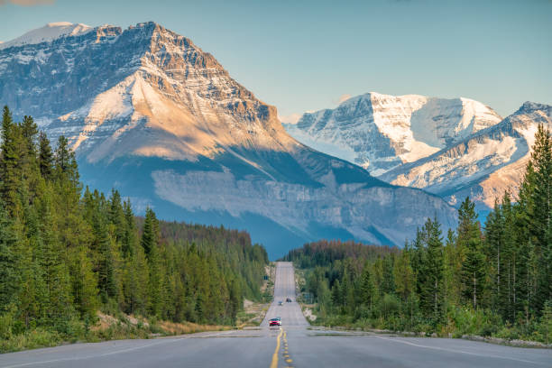 Journey Through Pristine Alberta on the Iconic Icefields Parkway
