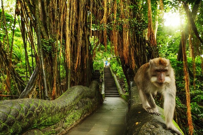 Ubud Monkey Forest: Discover Bali's Hidden Primate Paradise