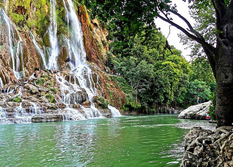 زیبایی‌های خیره‌کننده باغ ارم شیراز: سفری در تاریخ و طبیعت منحصر به فرد