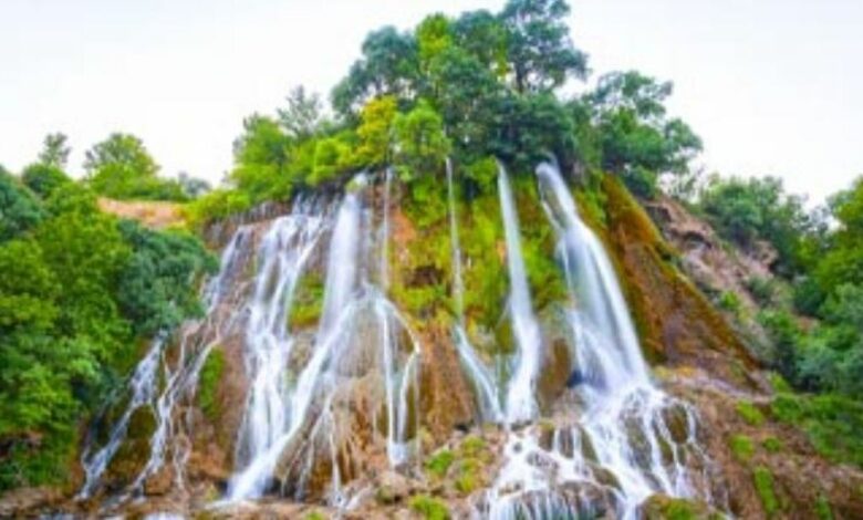سفری خاطره انگیز به باغ ارم شیراز با کشف زیبایی‌های معماری و طبیعت
