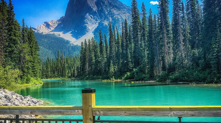 کشف زیبایی‌های حیات وحش اطراف دریاچه زمرد بانف