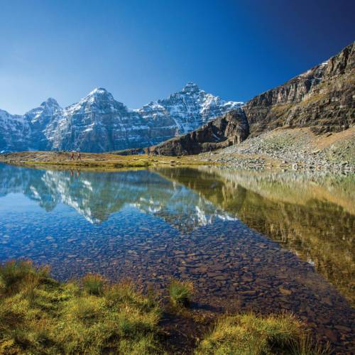 سیر بهاری در میان شکوفه‌های وحشی بانف و لیک لوز در آلبرتا
