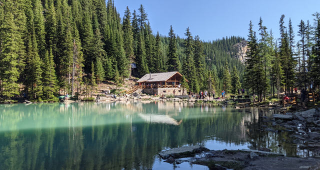 Experience the Magic at Banff Lake Louise Tea House in Alberta