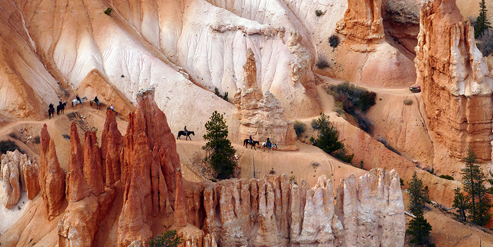 Experience the Thrill of Bryce Canyon Horse Rides in Utah