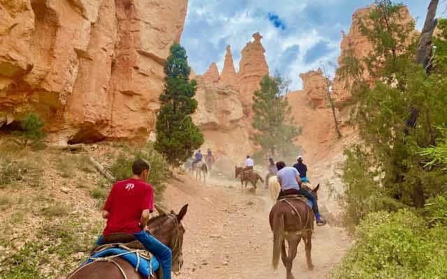 Experience the Thrill of Bryce Canyon Horse Rides in Utah