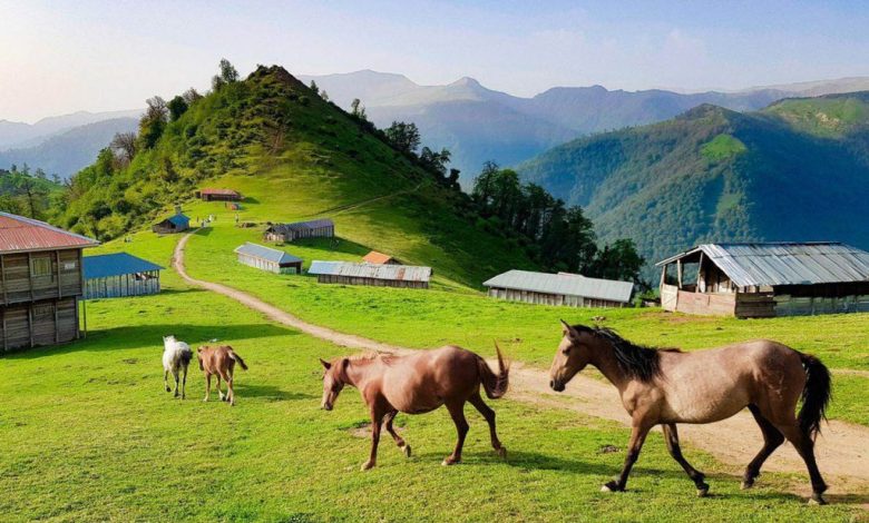 تجربه نوروزی نوین با پذیرایی متفاوت در هزار نوروزگاه