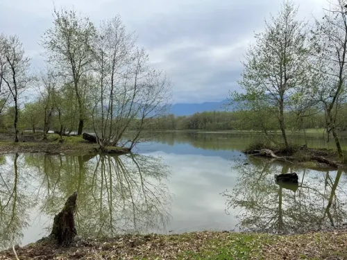 سفر نوروزی به دل سحرآمیز مازندران با ایران چارتر