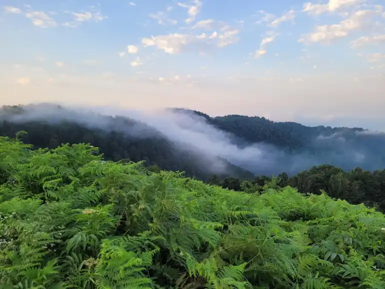 کشف رمز و راز عروس زاگرس با ایران چارتر