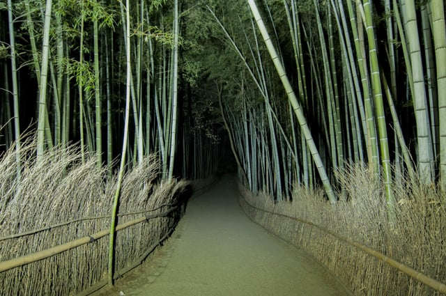 Arashiyama Bamboo Grove Kyoto: Discover Japan's Natural and Cultural Treasure