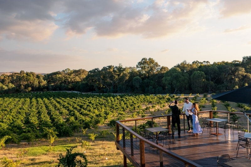 Barossa Valley South Australia: Discover the Heart of Wine, Nature & Heritage