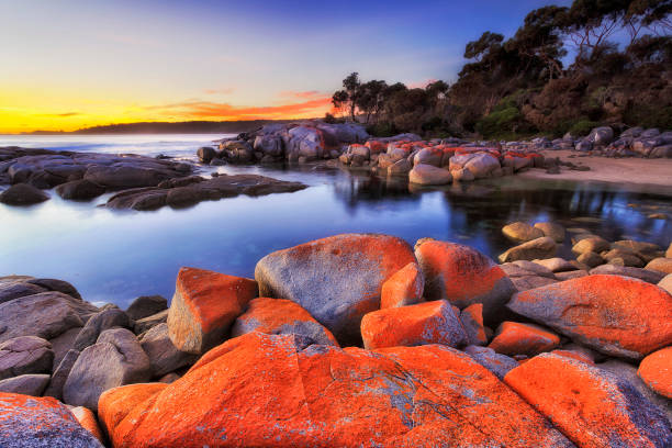 Bay of Fires Tasmania: Discover the Natural Beauty of Tasmania's Iconic Coast