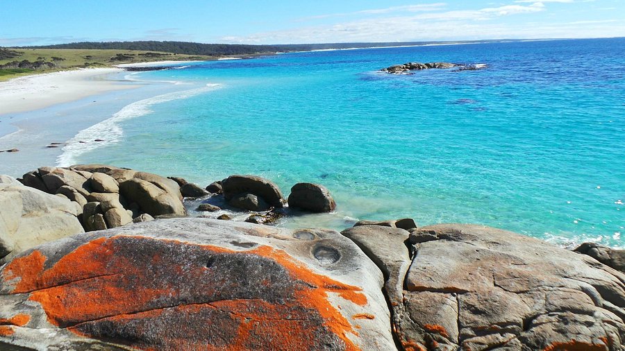 Bay of Fires Tasmania: Discover the Natural Beauty of Tasmania's Iconic Coast