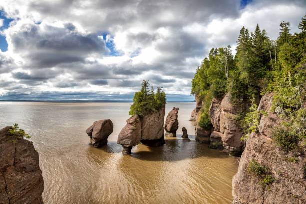 Bay of Fundy: Discover Canada's Natural Wonder in New Brunswick and Nova Scotia
