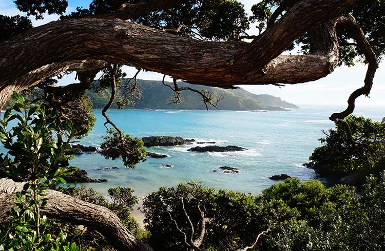 Bay of Islands Northland: Experience a Legendary Journey of History and Natural Beauty