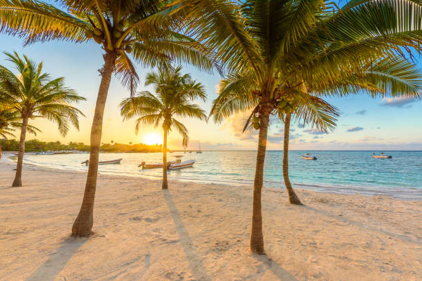 Cancún Beaches: Experience an Unforgettable Journey Through History and Nature in Quintana Roo