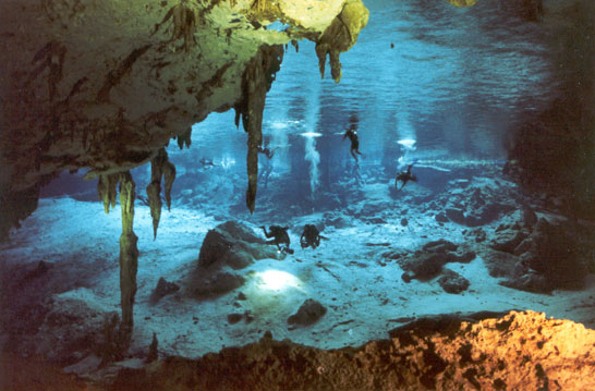 Cenotes Dos Ojos Tulum: Ultimate Guide to the Best Snorkeling Experience