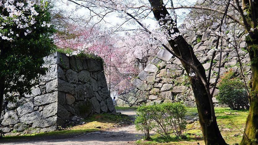 Fukuoka Castle Ruins: Discover the History and Beauty of Fukuoka Castle in Japan