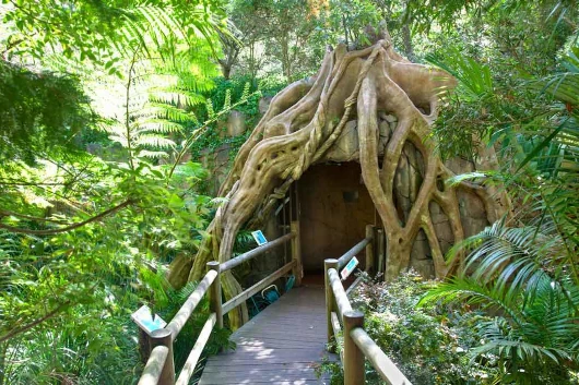 Glowworm Caves at Tamborine Mountain - Experience the Magic of Queensland's Nature