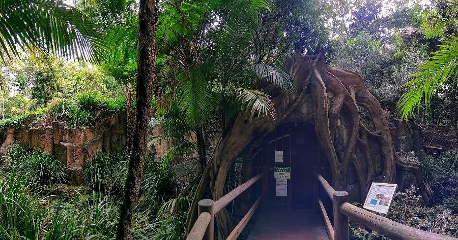 Glowworm Caves at Tamborine Mountain - Experience the Magic of Queensland's Nature