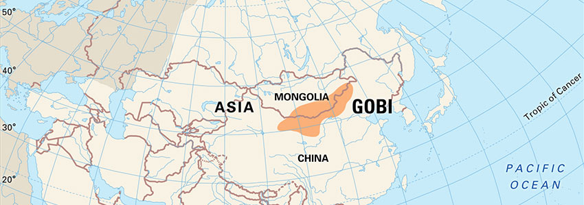 Gobi Desert: Explore the Mystical Land in the Heart of Mongolia