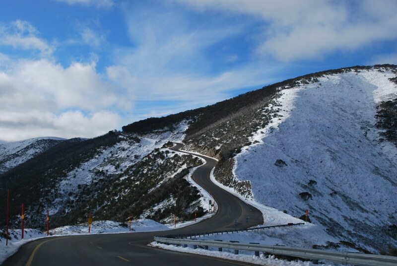 Great Alpine Road Victoria: Scenic Drive Through Australia's Mountain Paradise
