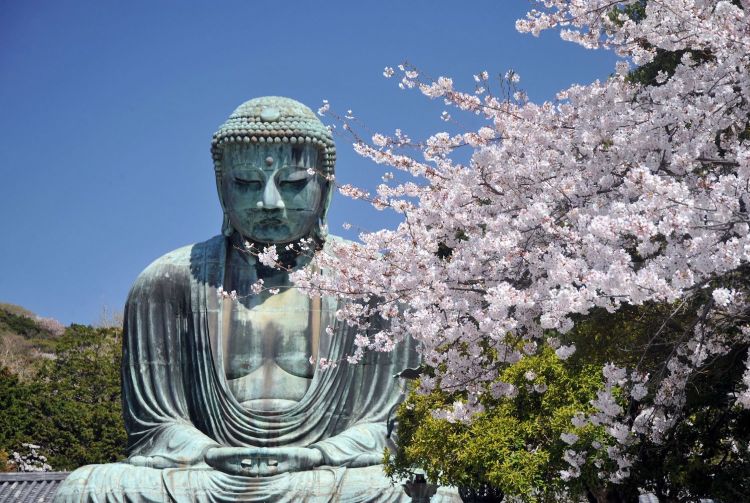 Great Buddha of Kamakura - Japan's Historic Wonder and Symbol of Tranquility