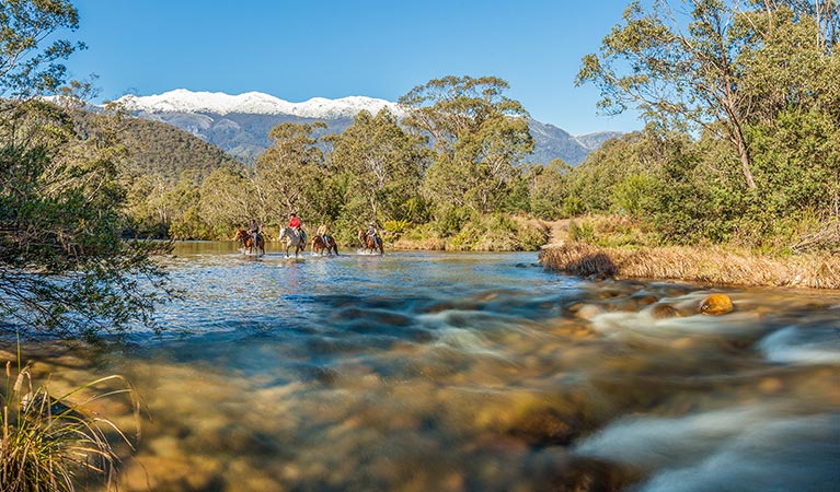 Kosciuszko National Park New South Wales: Australia's Natural Gem
