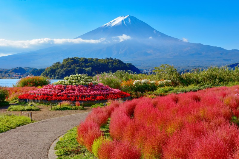 Lake Kawaguchi: Discover the Natural Beauty of Yamanashi Prefecture