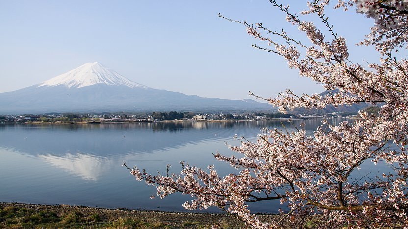 Lake Kawaguchi: Discover the Natural Beauty of Yamanashi Prefecture