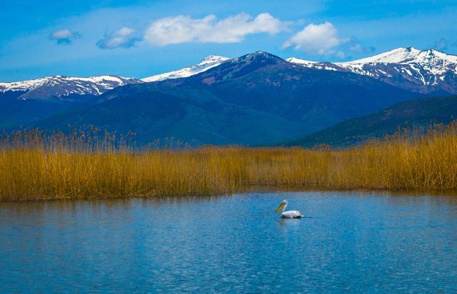 Lake Prespa Macedonia: Discover the Natural Beauty and Unique Landscapes