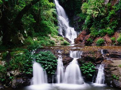 Lamington National Park Queensland - Discover Australia's Natural Wonder