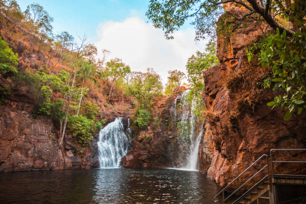 Litchfield National Park Northern Territory: Ultimate Guide to Australia's Natural Wonder