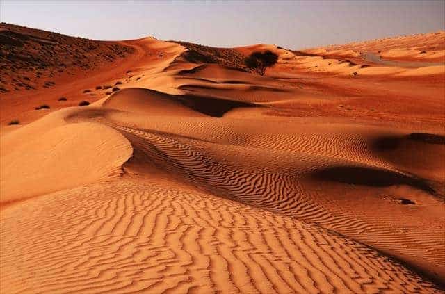 Liwa Oasis Abu Dhabi: Discover the Heart of the Desert