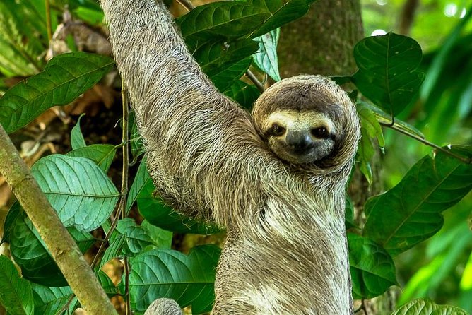 Manuel Antonio National Park, Puntarenas Province: Explore Costa Rica's Tropical Paradise