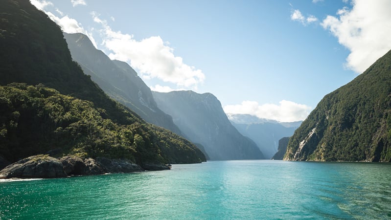 Milford Track South Island: Explore New Zealand's Untamed Wilderness