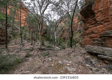 Mount Remarkable National Park South Australia: Discover Nature's Gem