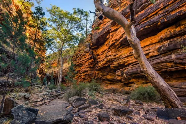 Mount Remarkable National Park South Australia: Discover Nature's Gem