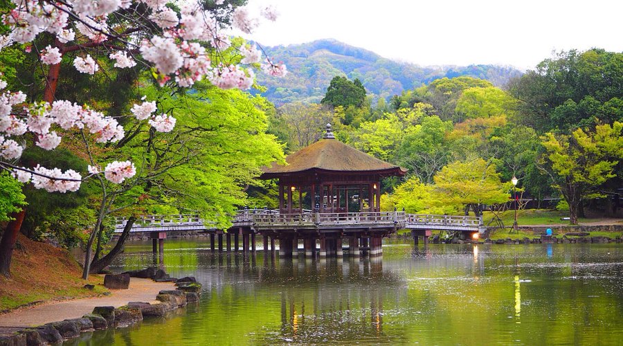 Nara Park: Journey Through History and Nature with Free Roaming Deer